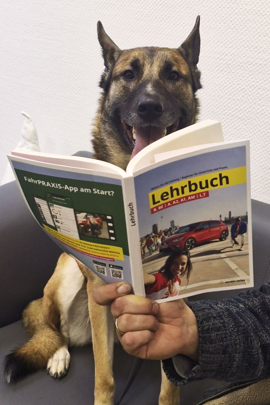 Tini (Liebe Schäferhündin)